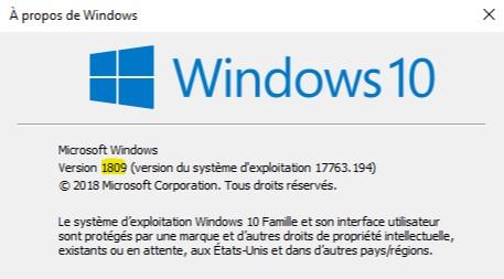 Version Windows 10