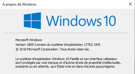 Windows 10 famille